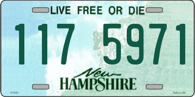 NH license plate 1175971