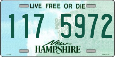 NH license plate 1175972