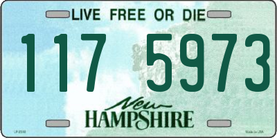 NH license plate 1175973