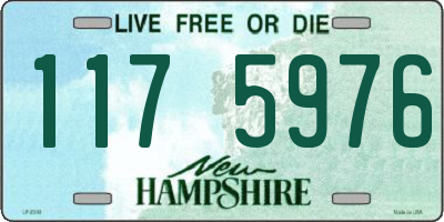 NH license plate 1175976