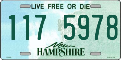 NH license plate 1175978