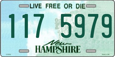 NH license plate 1175979