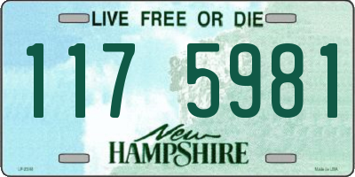 NH license plate 1175981