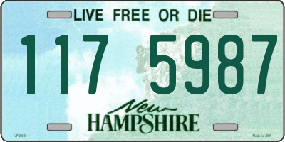 NH license plate 1175987