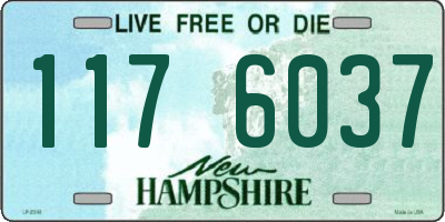 NH license plate 1176037