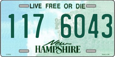 NH license plate 1176043