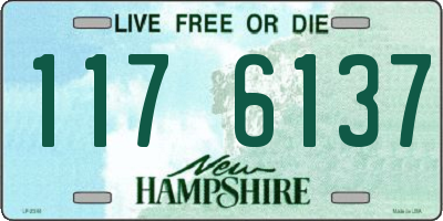 NH license plate 1176137
