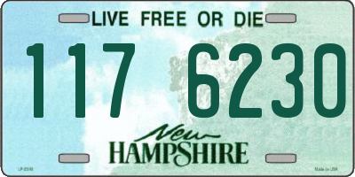 NH license plate 1176230