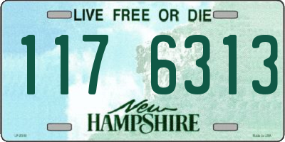 NH license plate 1176313