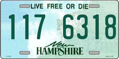 NH license plate 1176318