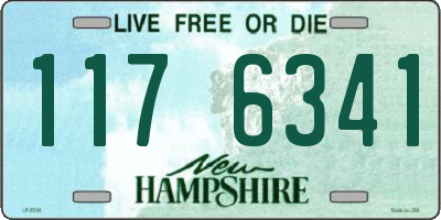 NH license plate 1176341