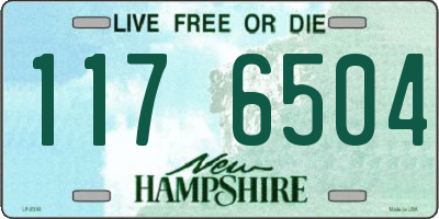 NH license plate 1176504