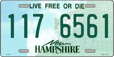 NH license plate 1176561