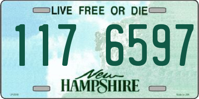 NH license plate 1176597