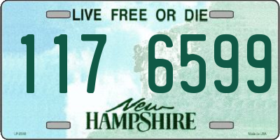 NH license plate 1176599