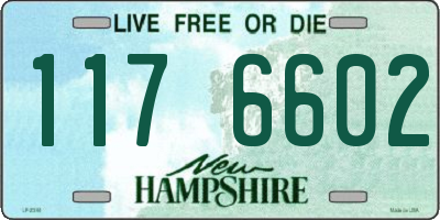 NH license plate 1176602