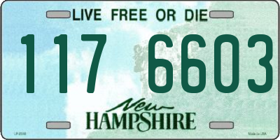 NH license plate 1176603