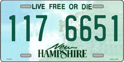 NH license plate 1176651
