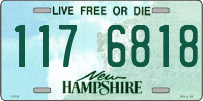 NH license plate 1176818