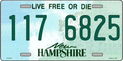NH license plate 1176825