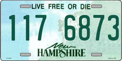 NH license plate 1176873