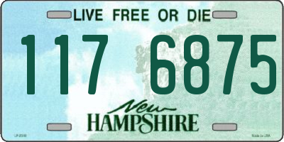 NH license plate 1176875