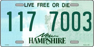 NH license plate 1177003