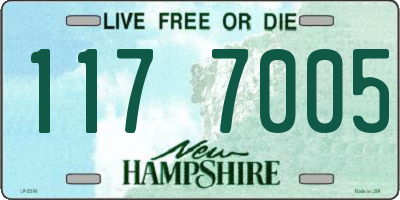 NH license plate 1177005