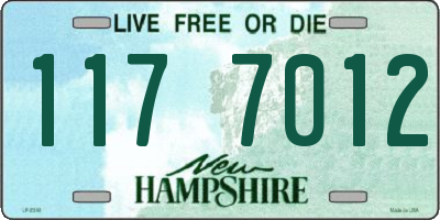 NH license plate 1177012