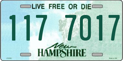 NH license plate 1177017