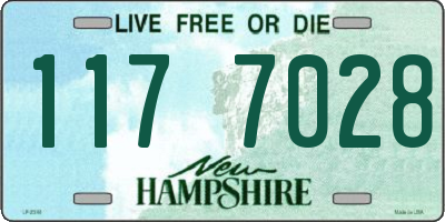 NH license plate 1177028