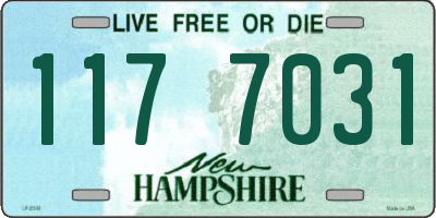 NH license plate 1177031