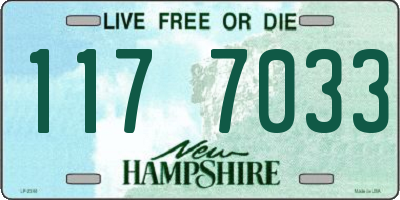 NH license plate 1177033