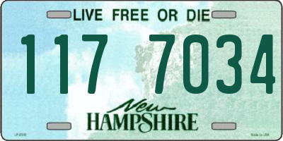 NH license plate 1177034