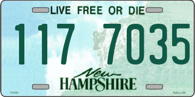NH license plate 1177035