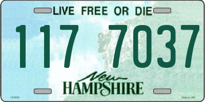 NH license plate 1177037