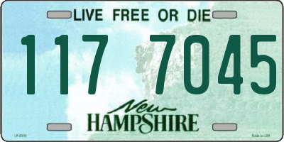 NH license plate 1177045