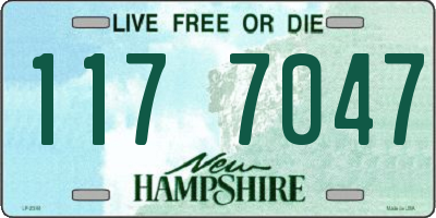 NH license plate 1177047