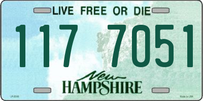 NH license plate 1177051