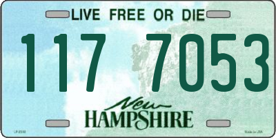 NH license plate 1177053