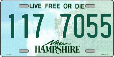 NH license plate 1177055
