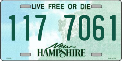 NH license plate 1177061