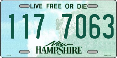 NH license plate 1177063