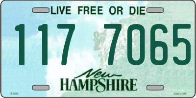 NH license plate 1177065