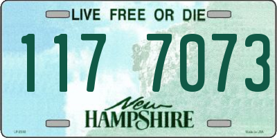 NH license plate 1177073