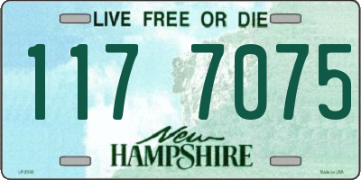 NH license plate 1177075