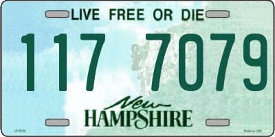 NH license plate 1177079