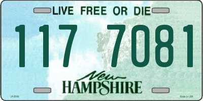 NH license plate 1177081