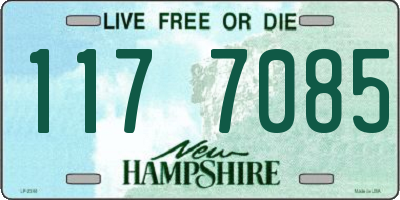 NH license plate 1177085
