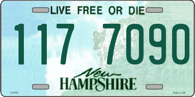 NH license plate 1177090